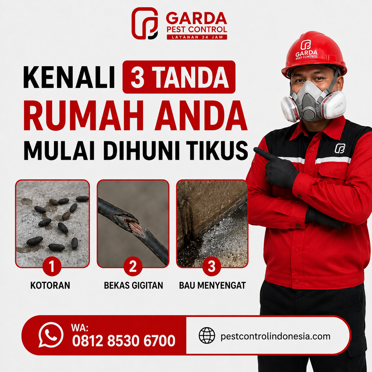 Ciri Ciri Sarang Tikus di Dalam Rumah Jakarta Selatan dan Cara Mengatasinya