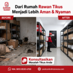 Rincian Harga Jasa Pembasmi Tikus Jakarta Selatan dan Panduan Penanganannya