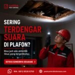 Jasa Pembasmi Tikus Lampung Profesional untuk Rumah dan Tempat Usaha